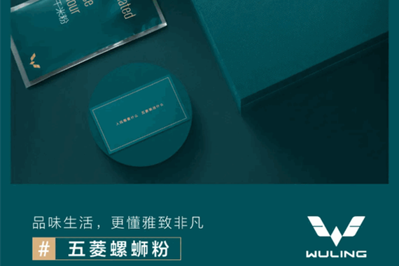 继“马卡龙”后，五菱又注册了一个“水果拼盘”