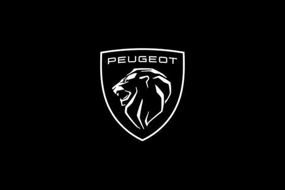 驰援河南 东风标致品牌提供24小时道路救援