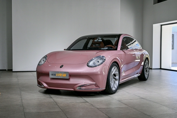 这只“猫”BlingBling 欧拉闪电猫静态体验