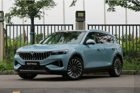 10月31日上市 岚图FREE新增纯电城市版车型