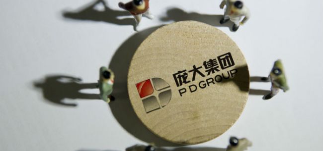 获投资人增持3-4亿控股权未让渡 庞大集团重整开局不错?