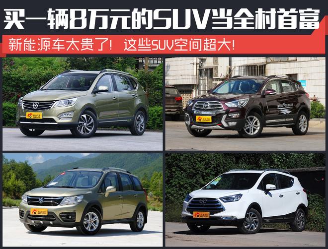 新能源太贵!买辆8万元SUV当全村首富