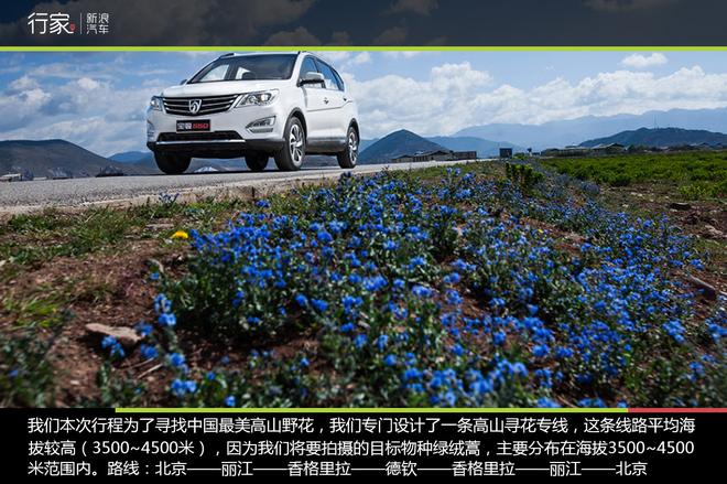 追寻“植物猎人”印记,高山植物探索之旅