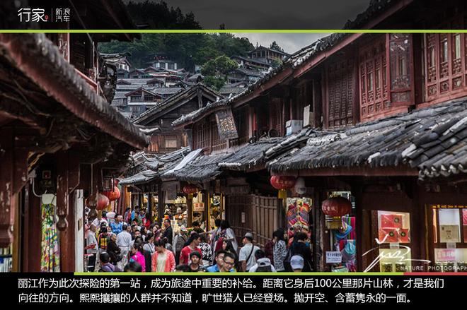 追寻“植物猎人”印记,高山植物探索之旅