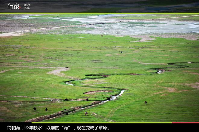 追寻“植物猎人”印记,高山植物探索之旅