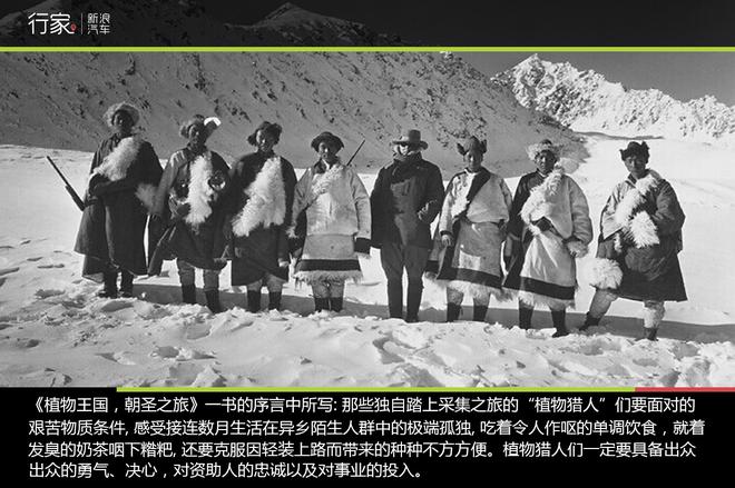 追寻“植物猎人”印记,高山植物探索之旅