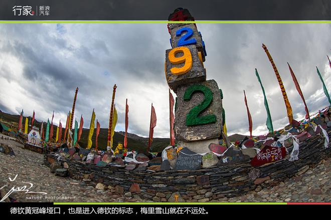 追寻“植物猎人”印记,高山植物探索之旅