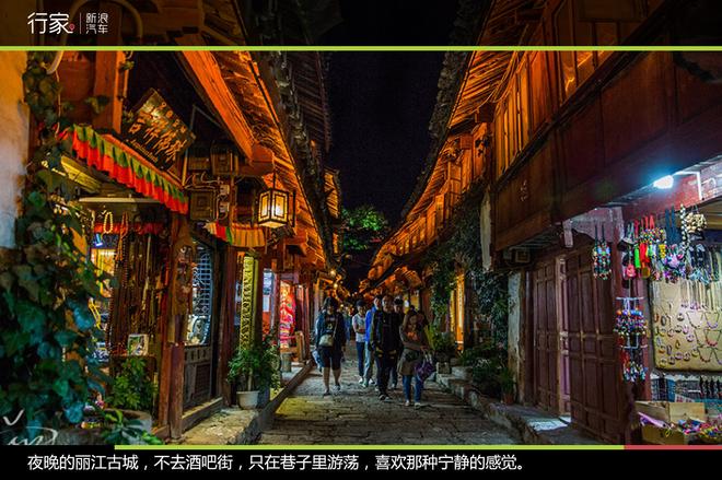 追寻“植物猎人”印记,高山植物探索之旅