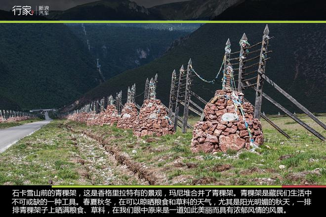 追寻“植物猎人”印记,高山植物探索之旅