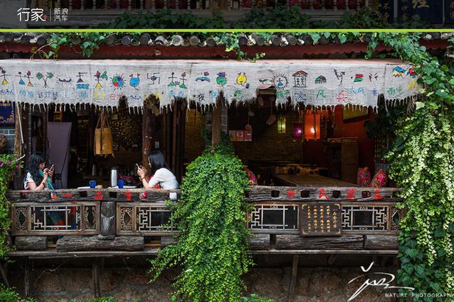 追寻“植物猎人”印记,高山植物探索之旅