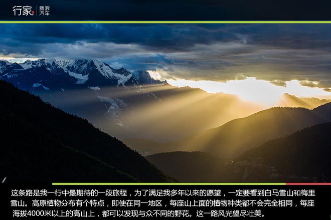 追寻“植物猎人”印记,高山植物探索之旅