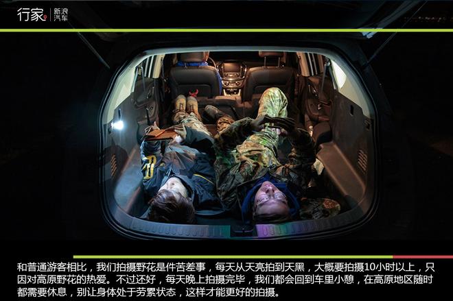 追寻“植物猎人”印记,高山植物探索之旅