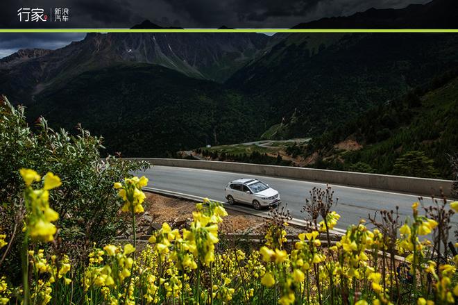 追寻“植物猎人”印记,高山植物探索之旅