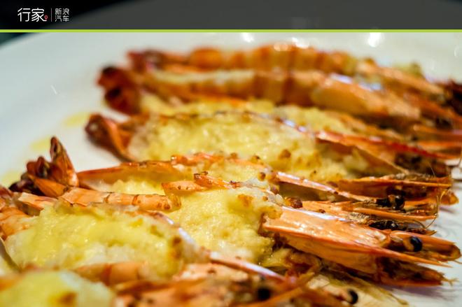 行家:跟斯巴鲁XV一起律动青岛