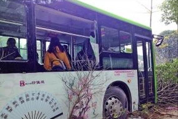 乘客坐过站要求停车遭拒 拉扯后撞行道树
