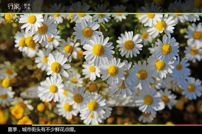 环冰岛第七天,旅行接近尾声追梦不收官