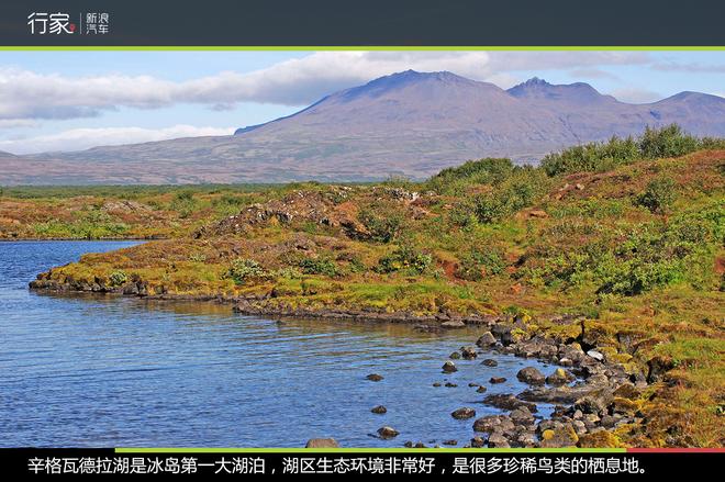 环冰岛第七天,旅行接近尾声追梦不收官