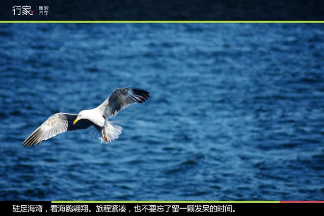 环冰岛第七天,旅行接近尾声追梦不收官