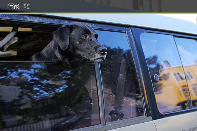 环冰岛第七天,旅行接近尾声追梦不收官