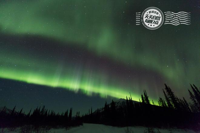 自驾|阿拉斯加飘着雪 听说北冰洋与极光更配