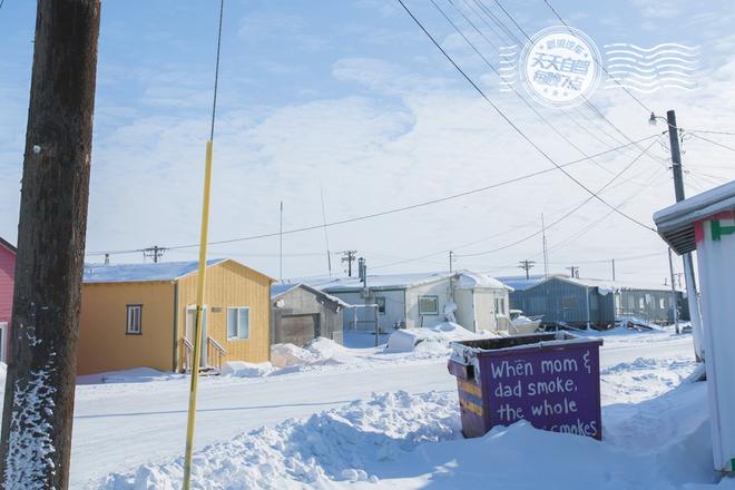 自驾|阿拉斯加飘着雪 听说北冰洋与极光更配