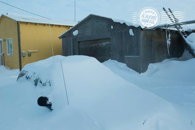 自驾|阿拉斯加飘着雪 听说北冰洋与极光更配