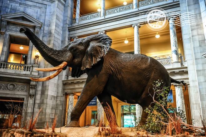 自驾|旅游必须有干货 美东人文自驾这么玩!