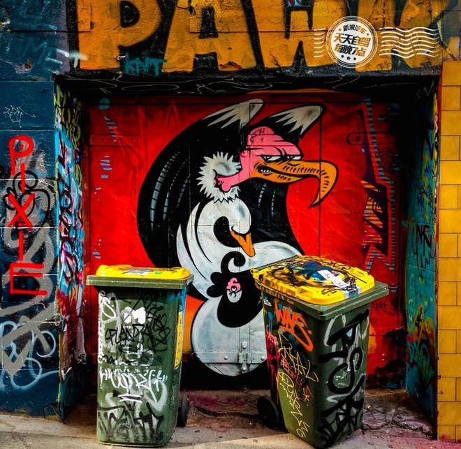 自驾|吃喝玩乐墨尔本 出门傻眼了:车呢!