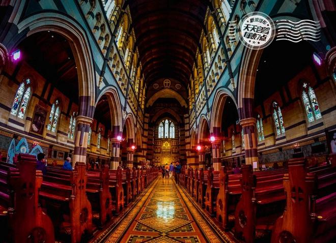 自驾|吃喝玩乐墨尔本 出门傻眼了:车呢!