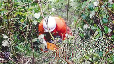 货车失控落50米天坑 三人因系安全带幸存