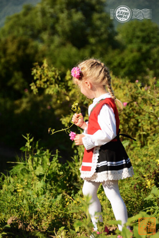 自驾|诸事不顺难掩人们的热情 爱上玫瑰之乡