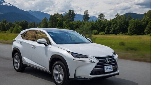 美国佬究竟关注哪些车?国产车全军覆没