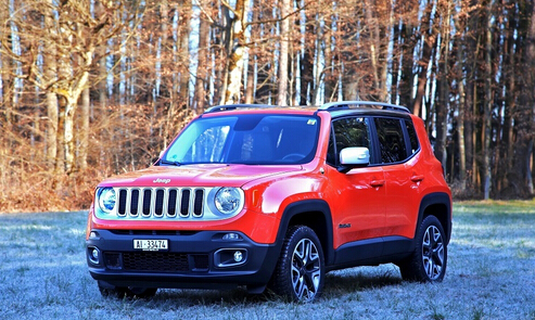 美国佬究竟关注哪些车?国产车全军覆没