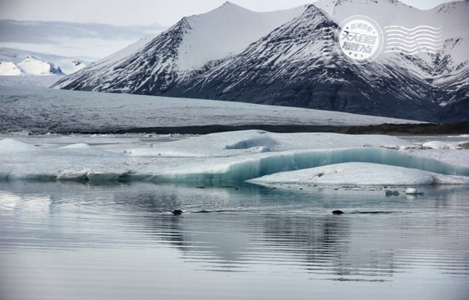 自驾|惊呆了!黑沙滩上的美海军飞机残骸