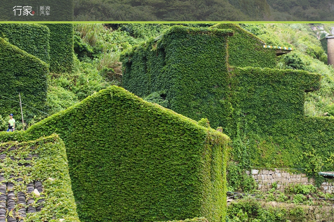 距离上海百公里 自驾祖国最东的绝美海岛