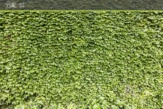 距离上海百公里 自驾祖国最东的绝美海岛