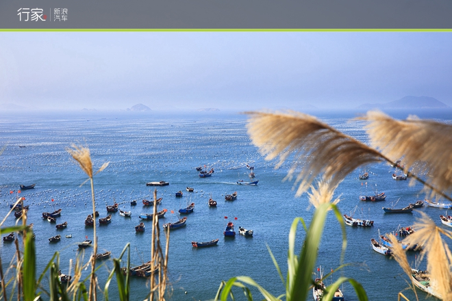 距离上海百公里 自驾祖国最东的绝美海岛