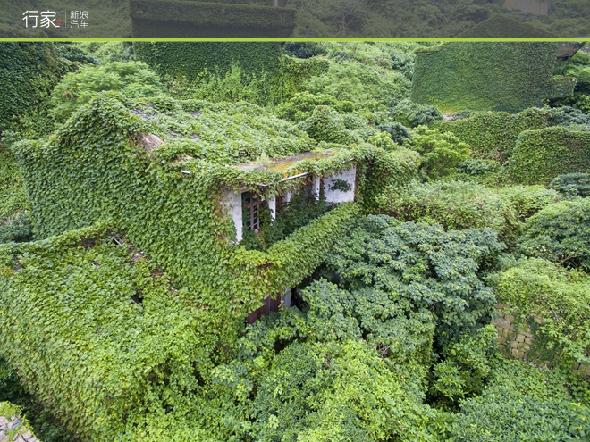 距离上海百公里 自驾祖国最东的绝美海岛