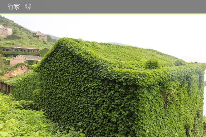 距离上海百公里 自驾祖国最东的绝美海岛