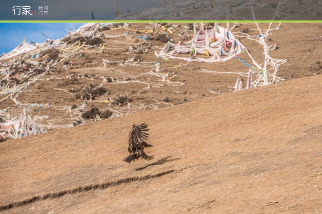 行家|感悟天葬的神圣 修行者必去的色达