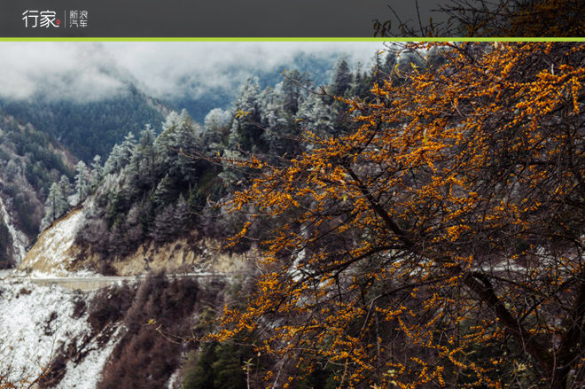 胆小勿入!在修行圣地亲身体验震撼天葬!