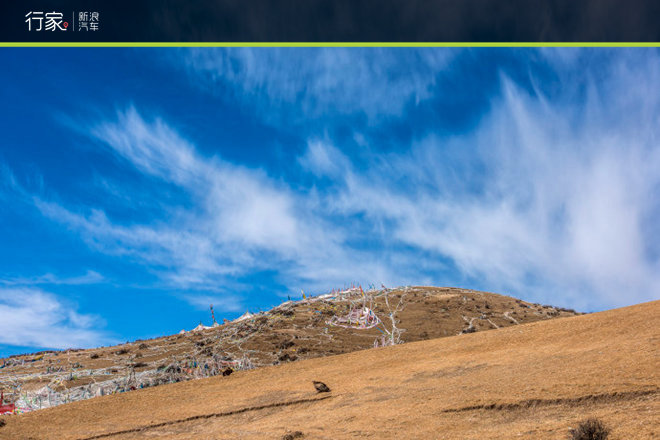 胆小勿入!在修行圣地亲身体验震撼天葬!