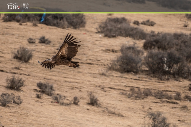 行家|感悟天葬的神圣 修行者必去的色达