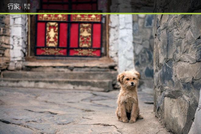 胆小勿入!在修行圣地亲身体验震撼天葬!