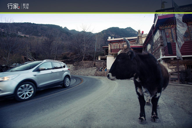胆小勿入!在修行圣地亲身体验震撼天葬!
