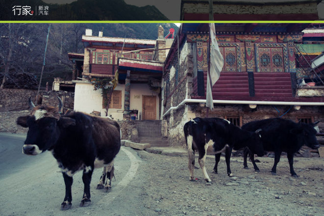 胆小勿入!在修行圣地亲身体验震撼天葬!