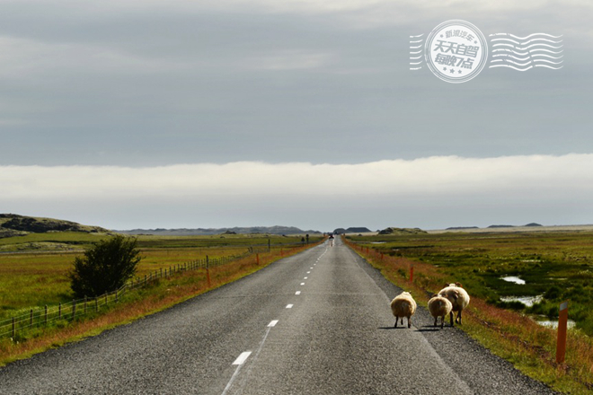 自驾|美女摄影师奇遇记 暴风雪中的一号公路