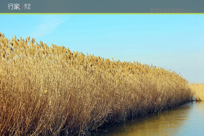 行家|一遇到冬日的暖阳 宁夏便成了西夏