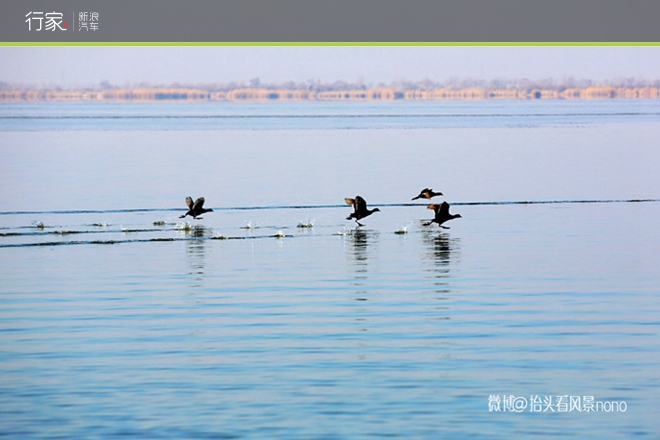 行家|一遇到冬日的暖阳 宁夏便成了西夏