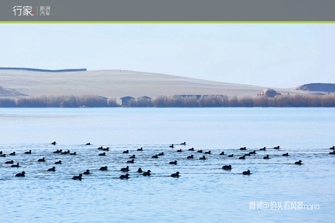 行家|一遇到冬日的暖阳 宁夏便成了西夏